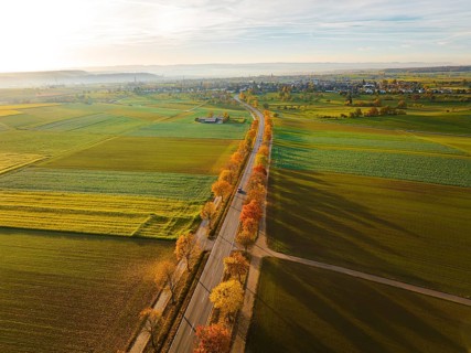 Aerial view of an avenue at sunrise in autumn, Herrenberg, Germany, Europe