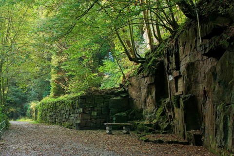 Liebethaler Grund near Lohmen in Saxon Switzerland