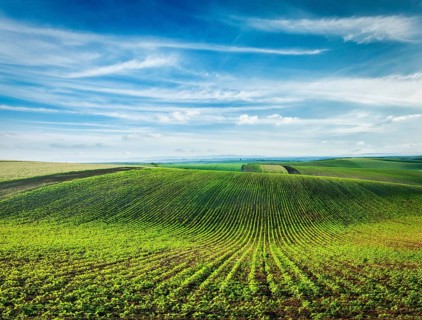 Rolling fields of Moravia, Czech Republic, Europe