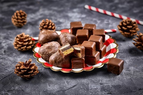 German traditional sweets called Dominosteine, food sold around Christmas season consisting of