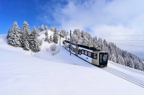 Cogwheel railway travelling through snow-covered forest, Rigi Kulm, Canton Schwyz, Switzerland,