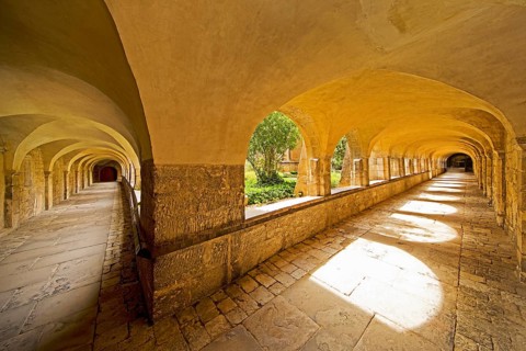 Cloister with view through the cemetery to the Thousand Year Rosebush, Mariendom, Hildesheim, Lower