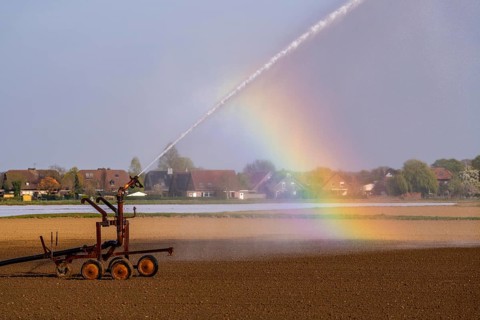 Artificial irrigation of a field, freshly sown, in April, with a sprinkler system, long dry spell