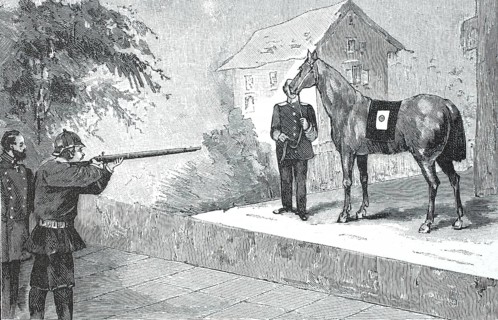 Test of the Dowe bulletproof armour, shooting attempt at a horse with a bulletproof vest, Heinrich