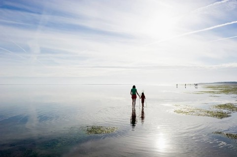 Woman with child walking through the mudflats, Wyk, Föhr, North Frisia, Schleswig-Holstein,