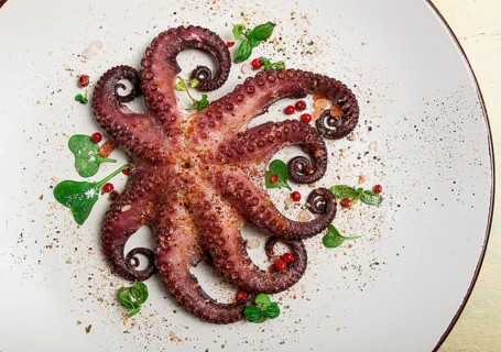 Boiled octopus, close-up, rustic style, no people, top view, close-up