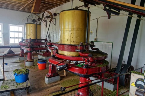 Several yellow-red machines for tea processing in a production room, tea cultivation and production