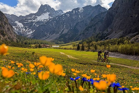 Mountain biker on mountain pasture in front of mountain landscape, flower meadow, backlight,