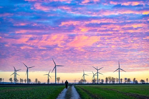 Wind farm near Holzweiler, town of Erkelenz, wind turbines, man walking his dog, North