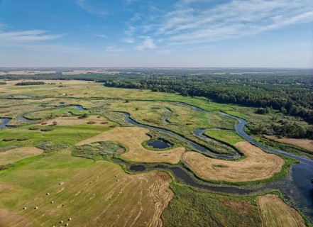 Aerial view of the meandering Biebrza River in the Biebrza National Park in northern Poland.
