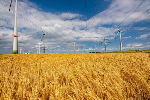 Wind farm east of Bad Wünnenberg, East Westphalia-Lippe, high-voltage power lines, grain field,
