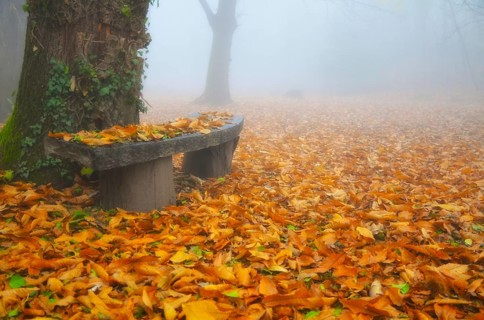 Beautiful Old Stone Bench with Autumn Leaves in a Foggy Day in Ascona, Ticino, Switzerland, Europe