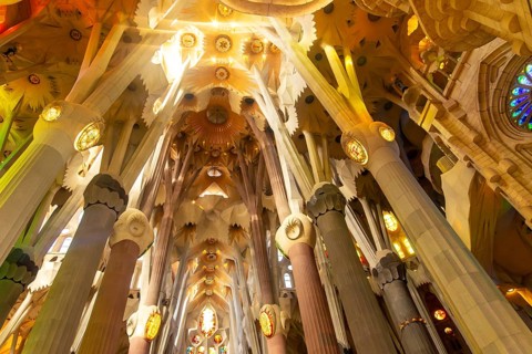 Sunlight streams through stained glass windows, illuminating the colorful, tree like columns and