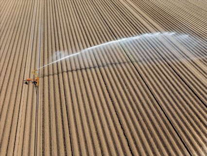 Artificial irrigation of a potato field in April, with a sprinkler system, long drought in spring