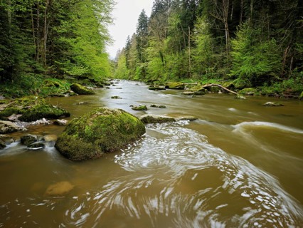 Moss-covered stones on the river Sihl, Sihlsprung, Menzingen, Canton Zug, Switzerland, Europe