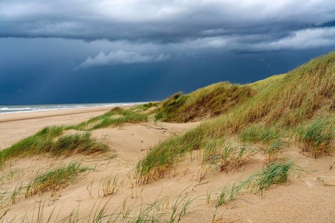 Dune landscape, beach, dark storm clouds, autumn at the North Sea in North Holland, between the