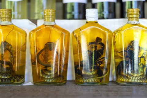 Choum, rice liquor, rice wine with pickled scorpions and Snakes for sale, Laos, Asia