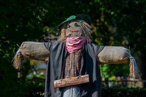 Humanoid scarecrow, bird scarer dressed in old clothes and placed in vegetable garden to deter,