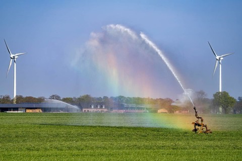 Artificial irrigation of a cereal field in April, with a sprinkler system, long dry spell in spring
