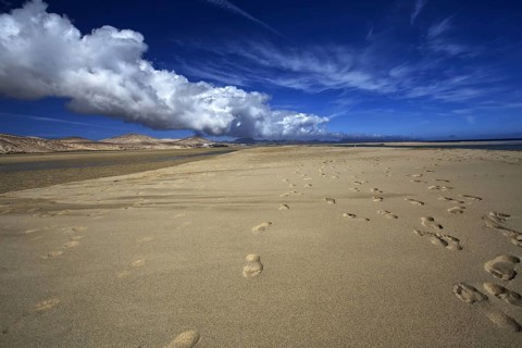 Sandy beach beach Playa Risco del Paso, Playa de Sotavento with footprints, blue sky and clouds,