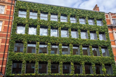 Green facade in Bloomsbury, Camden, West End, London, England, UK, Great Britain, United Kingdom,