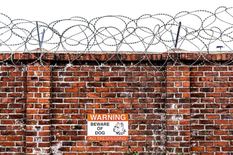 Company premises, wall secured with rolls of barbed wire, signpost for guard dog on the premises