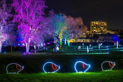 Parkleuchten, event in winter, in the Grugapark in Essen, many different light installations,