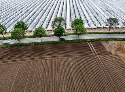 Agriculture, large areas with foil tunnel, for the cultivation of strawberries, freshly cultivated