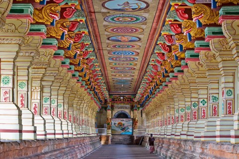 Colourfully painted pillars, temple hall, Ramanathaswami Temple, Rameswaram or Rameshwaram, Pamban