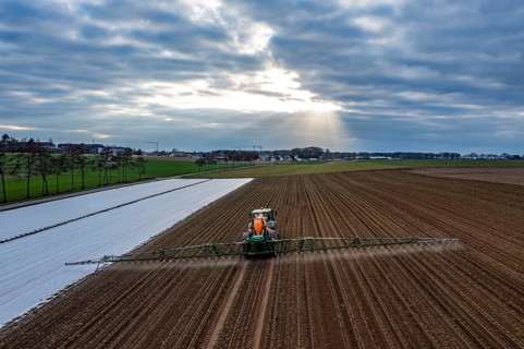 A field is treated with pesticides