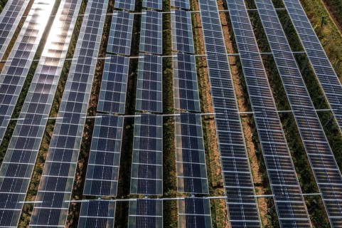 Agri-photovoltaic test plant, an apple orchard with two different systems of PV modules was roofed