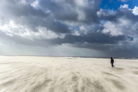 North Sea, Spiekeroog Island, autumn, strong wind drives the sand over the mudflats at low tide,