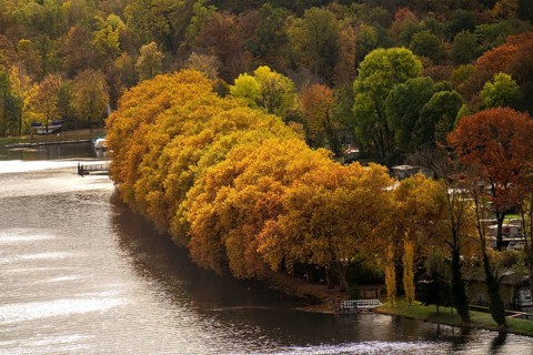 Lake Baldeney, on the south-east shore, Fischlaken district, in autumn, plane tree avenue, lakeside