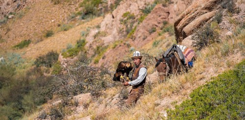 Traditional Kyrgyz eagle hunter with eagle in the mountains, hunting on horseback, near Kysyl-Suu,