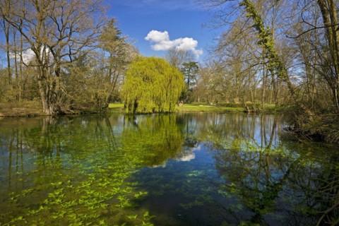 Paffendorf Castle, Castle Park, Route of Garden Art between the Rhine and Meuse with forest nature