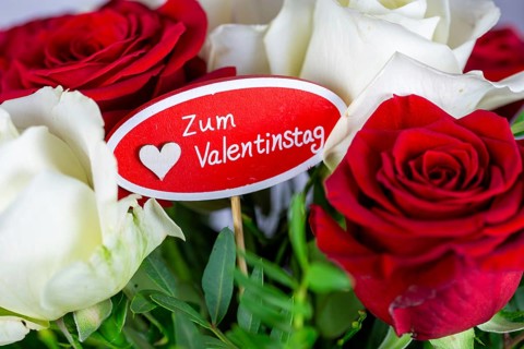 Valentine's greetings: Warm Valentine's Day greetings with a bouquet of white and red roses