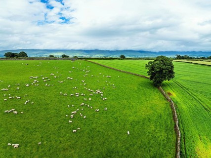 Farms and Fields over River Eden and River Eamont from a drone, Cumbria, England, United Kingdom,