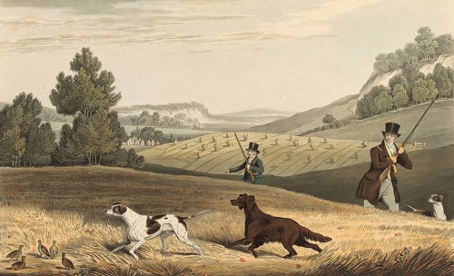 Partridge hunting in England, 1822, Historical, digitally restored reproduction from a 19th century