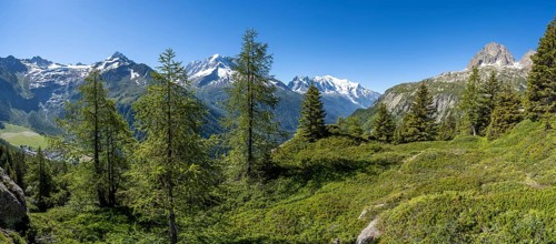 Mountain panorama with glaciated mountain peaks, Aiguille Verte with Aiguille du Midi and Mont