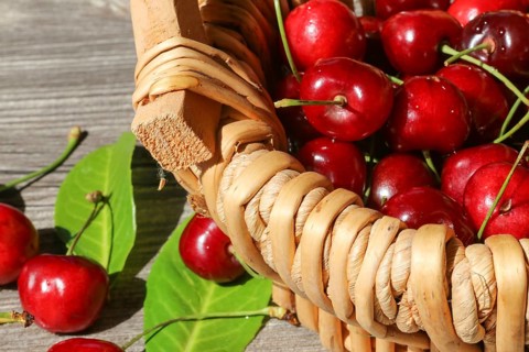 Close-up of delicious sweet cherries