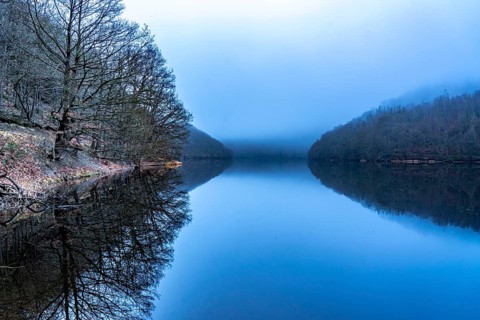 Lake Rursee in the Eifel, reservoir, upper lake, in winter, fog, near Heimbach, North