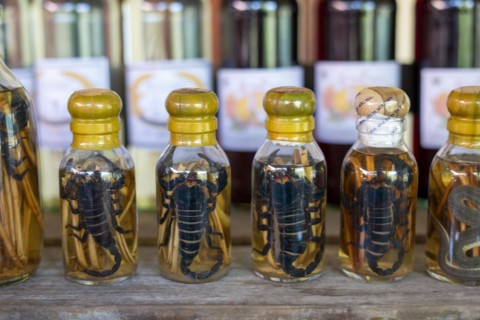 Choum, rice liquor, rice wine with pickled scorpions and snakes for sale, Laos, Asia