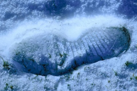 Tracks in the snow