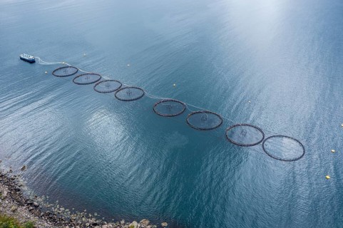 Aerial view of a salmon farm, rainy weather, grey sky, Vesteralen islands, Norway, Europe