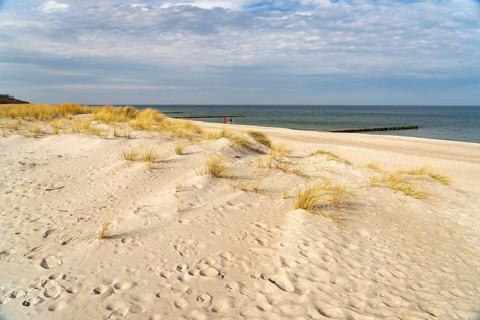 Dunes on the Baltic Sea beach in Graal-Müritz, Mecklenburg-Vorpommern, Germany, Europe