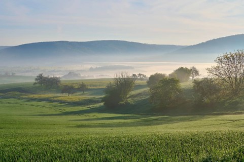 Peaceful landscape with green hills and trees in the morning mist, Mönchberg, Miltenberg, Spessart,