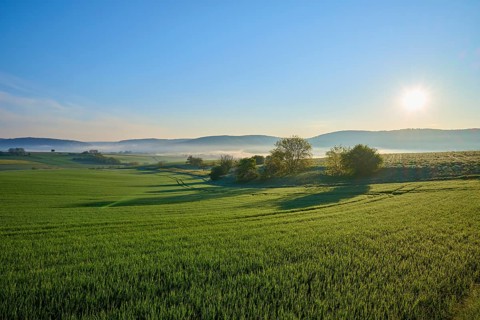A peaceful landscape with green fields, hills and trees at sunrise with light fog, Mönchberg,