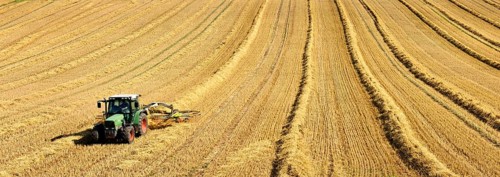 Tractor in stubble field harvesting and turning straw, Saalekreis, Saxony-Anhalt, Germany, Europe