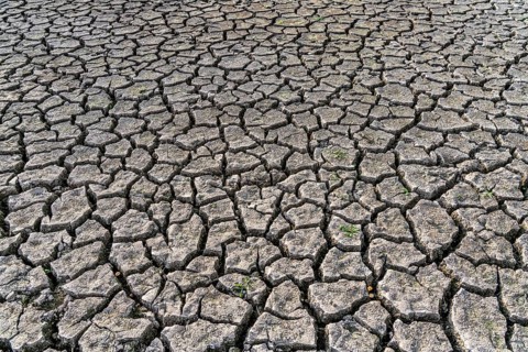 Dry ground, cracked, dried-up riverbed, in a branch of the Rhine, near Duisburg
