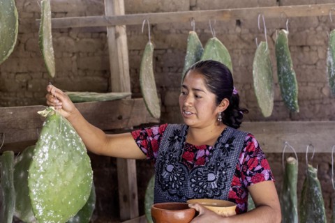 Teotitlan del Valle, Oaxaca, Mexico, Rural women in the Tlacolula Valley of Oaxaca benefit from a
